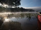 Weller Pond 028